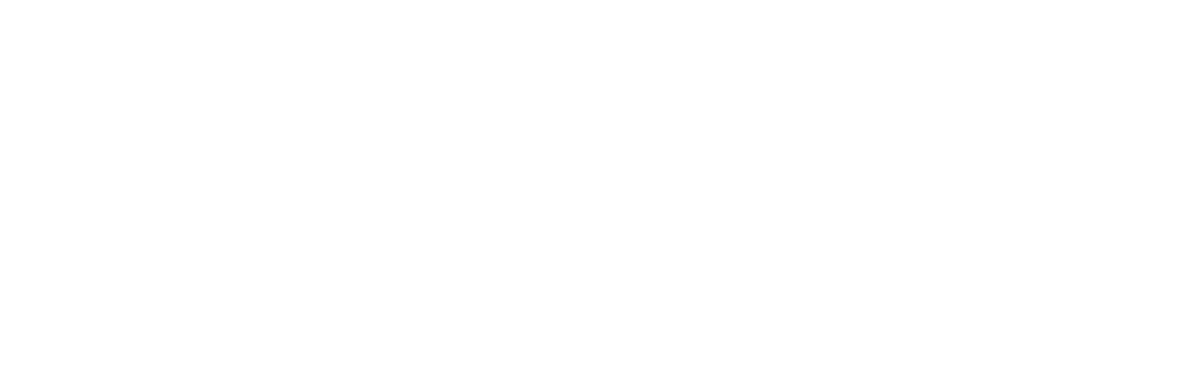 Cleuroport logo